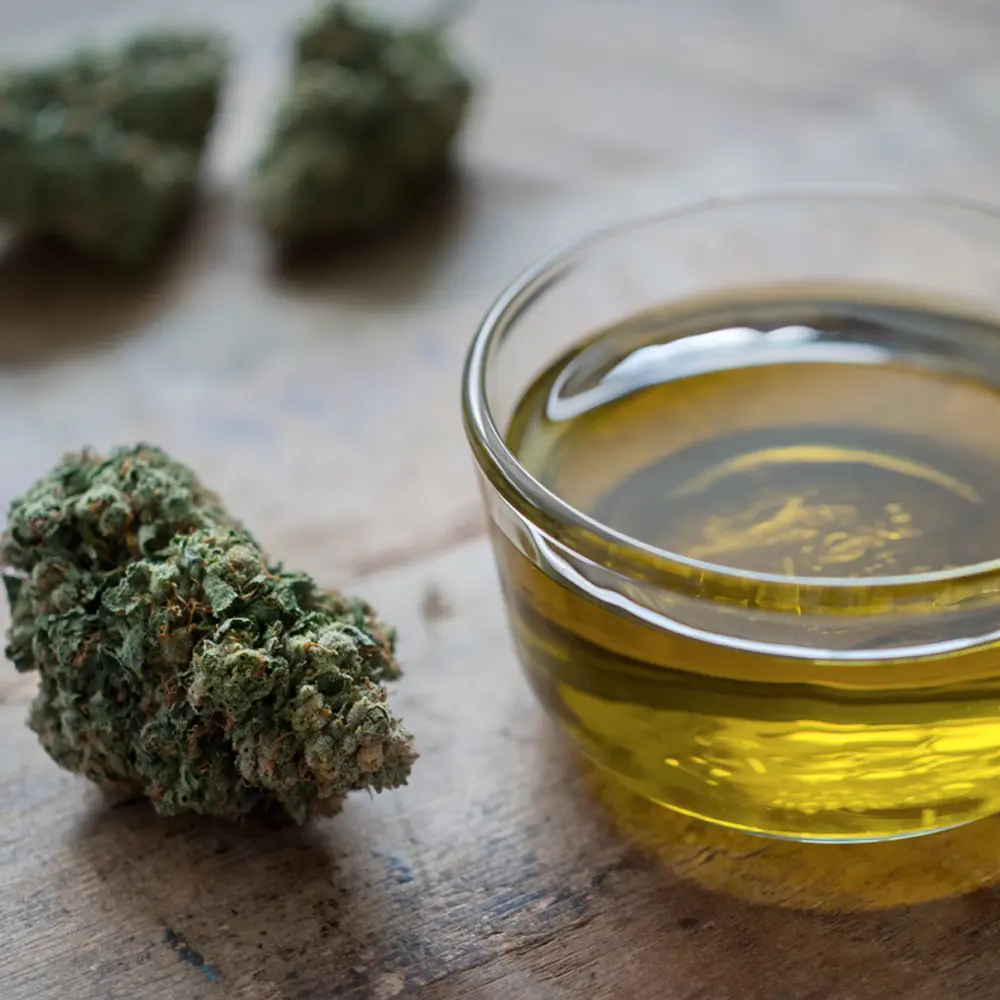 Infused oils with cannabis by Seed and Soil SA